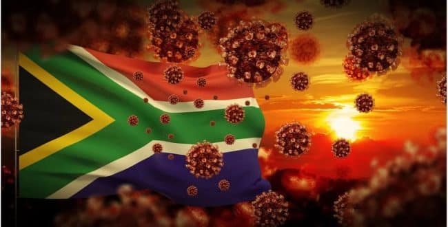 South Africa: scientists to meet over new Covid variant