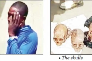 Nigeria: man arrested with skulls found on him