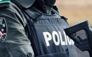 Gunmen kill eight including police chief in Nigeria