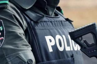 Gunmen kill eight including police chief in Nigeria