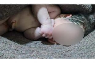 A baby born under the rubble is named Aya, meaning "miracle"