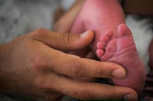 Court refuses to issue birth certificate to child of lesbian couple