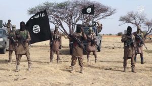 Several dead after jihadist attack in Nigeria's Borno State