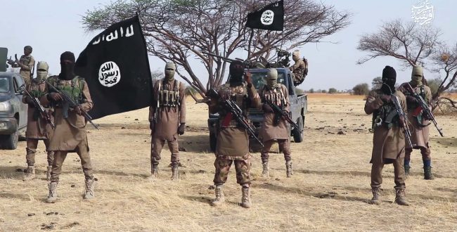 Several dead after jihadist attack in Nigeria's Borno State