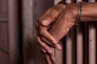 UK: four Nigerian students jailed over street fight