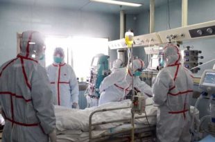 China records first death from H3N8 avian flu