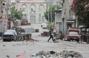 Dozen suspected gang members stoned and burned alive in Haiti