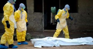 Ten deaths from the Marburg virus in Equatorial Guinea