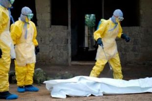 Ten deaths from the Marburg virus in Equatorial Guinea