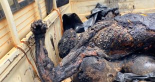 Ghana: three suspected robbers burnt alive