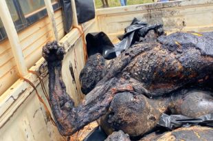 Ghana: three suspected robbers burnt alive