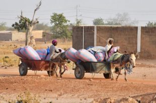 West Africa faces acute food shortages with thousands near famine, UN says
