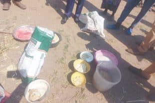 Thirteen die in Namibia after consuming toxic food