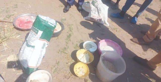 Thirteen die in Namibia after consuming toxic food