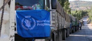 WFP suspends food aid to Ethiopia's Tigray after theft allegations