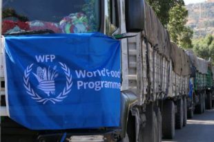 WFP suspends food aid to Ethiopia's Tigray after theft allegations