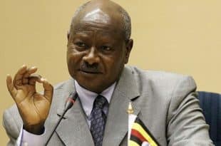 International community's anger after Museveni approves anti-homosexuality law