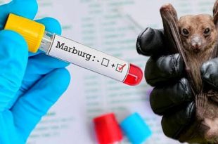 Tanzania declares end of Marburg epidemic