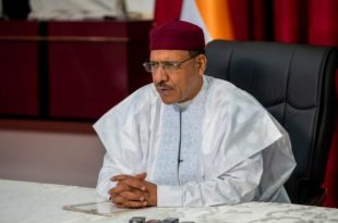 "Democracy will be saved" - said the Nigerien president