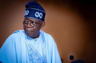 Nigerian President appoints special investigator for the Central Bank
