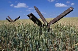 "Russia can replace Ukraine grain to Africa" - President Putin