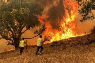 Several dead including soldiers in violent fires in Algeria