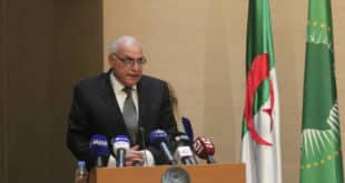 Algeria proposes transition plan to resolve Niger crisis