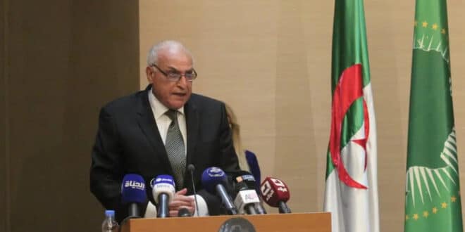 Algeria proposes transition plan to resolve Niger crisis