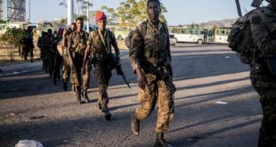 Amhara militia accused of trying to overthrow Ethiopia's government