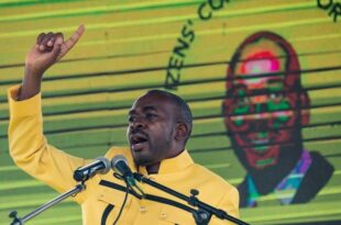 Zimbabwean opposition calls for rerun of elections