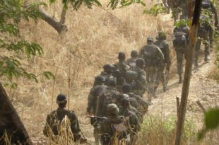 Cameroon troops dig up bodies of kidnapped officials