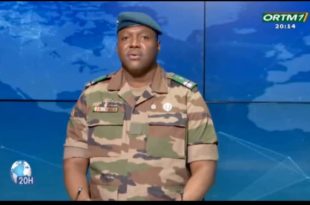 Mali and Burkina Faso warn ECOWAS against any intervention in Niger