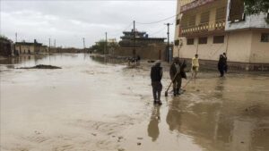 At least eight dead after floods in Algeria