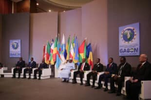 Central African community announces the suspension of Gabon