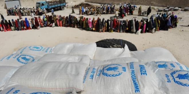 EU suspends food aid to Somalia amid theft investigation