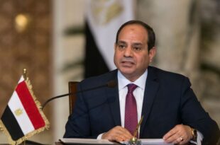 Egyptian president urges citizens to reduce births