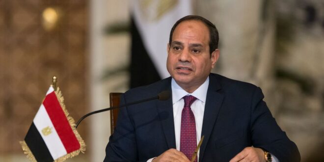 Egyptian president urges citizens to reduce births