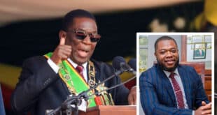 Zimbabwean president appoints son as deputy finance minister
