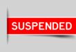 Egyptian website suspended for fake news
