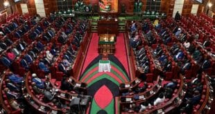 Kenyan member of parliament censured for wearing Palestine scarf