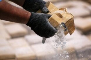 Morocco seizes 1.37 tons of cocaine concealed in frozen fish