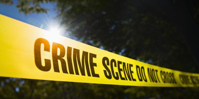 Teenager stabs foster mother to death