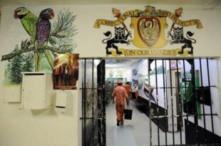 Diphtheria outbreak declared in a South African prison