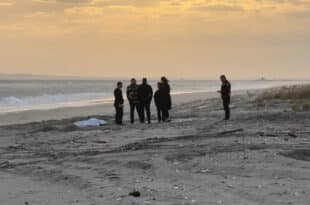 Fear after the discovery of human torso and legs on a beach