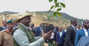 Kenya declares public holiday for tree planting