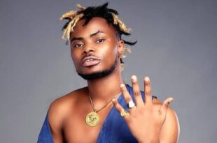 Nigerian musician Oladips died at the age of 28