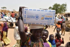 UN to resume humanitarian flight operations in Niger
