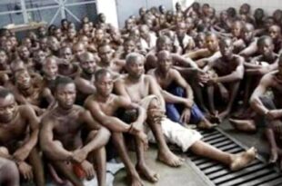 500 prisoners died in Makala prison in 2023