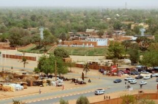 ECOWAS delegation in Niamey