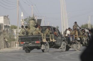 Somali government struggles to rescue UN workers held by Al-Shabab